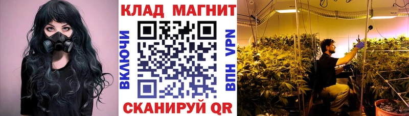 Купить наркотики Щучье Канабис  БУТИРАТ  А ПВП  Гашиш  мега ТОР  Меф  Кокаин 