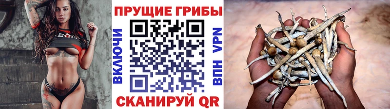 маркетплейс официальный сайт  Щучье  Галлюциногенные грибы GOLDEN TEACHER 
